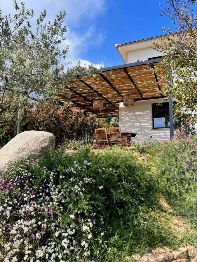Un Petit Paradis Pinarellu  Exterior photo